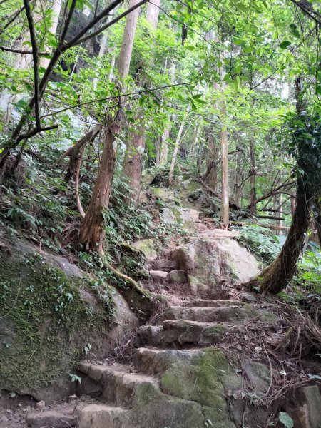 【新竹縣北埔鄉】五指山步道2833620