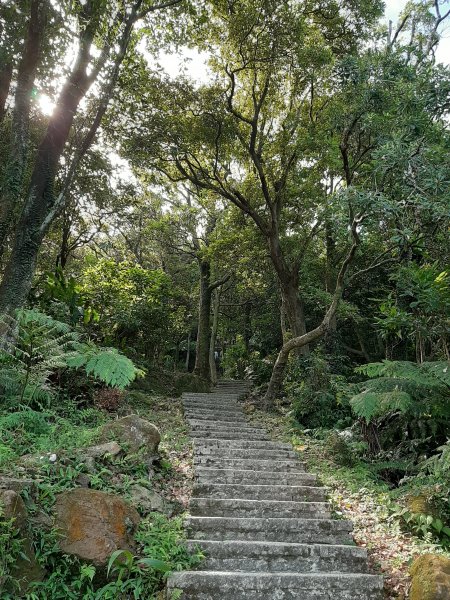 小百岳寶石〡No.12大尖山、四分尾山1056171