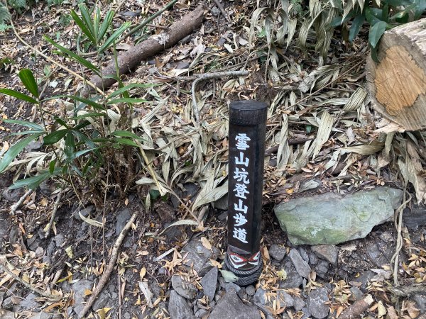 《雪山坑登山步道｜巨人之手森林秘境 Xueshankeng Hiking Trail & Giant2971067