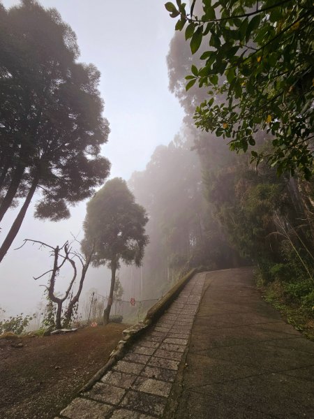 小百岳集起來-奮起湖大凍山2185171