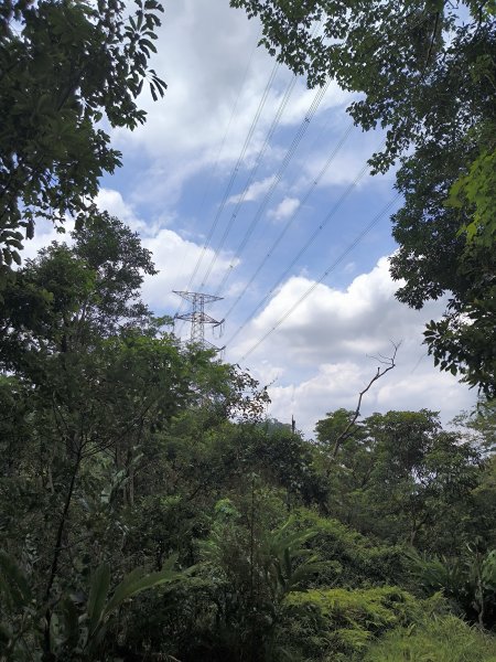 20250830天上山、旺旺嶺、太極嶺2874086
