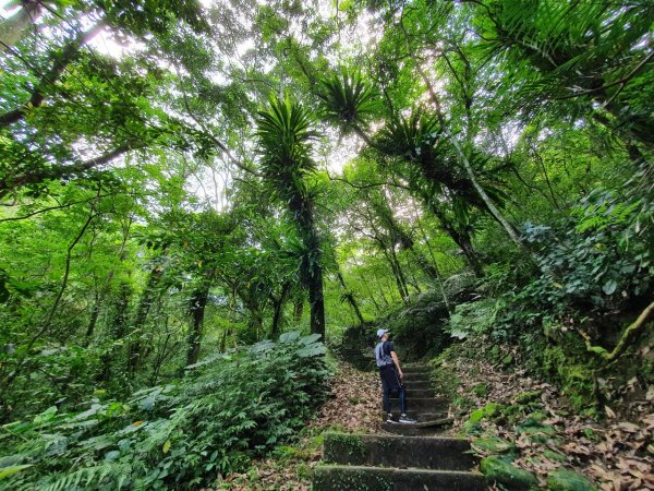 第一次皇帝殿就迷路~只有東峰，未達西峰962135