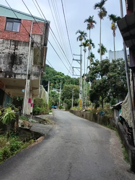 草屯「樹藤岩」台灣省政府圖根補點3131446