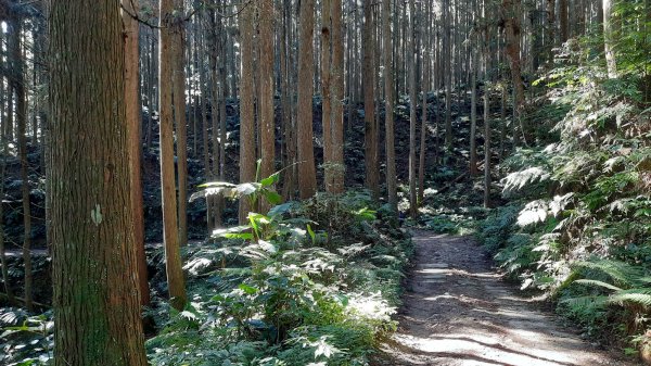 《新竹》幸福雲海｜鵝公髻山步道X山上人家202211051900103