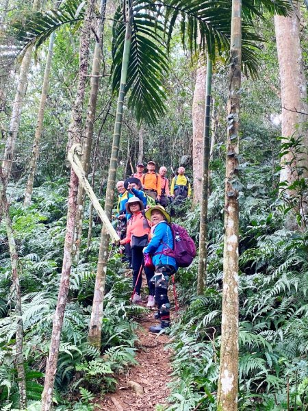 太元宮-關西玉山前-玉山/南柯山-東獅頭山-赤柯山南峰-赤柯山-太元宮 O繞2959295