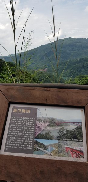 小烏來森林步道-水圳古道-義興吊橋600193