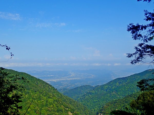 橫嶺山連走鳶嘴山2019/4/30575778