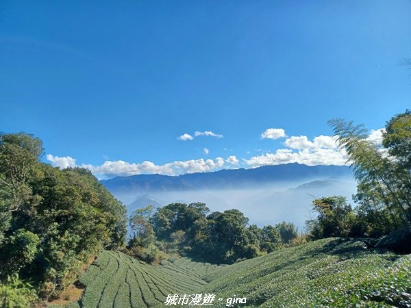 【嘉義梅山】悠閒踏青趣。 雲嘉大尖山、二尖山步道2447271