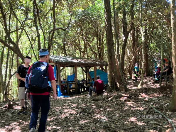 【谷關七雄】八仙山主峰步道2894868