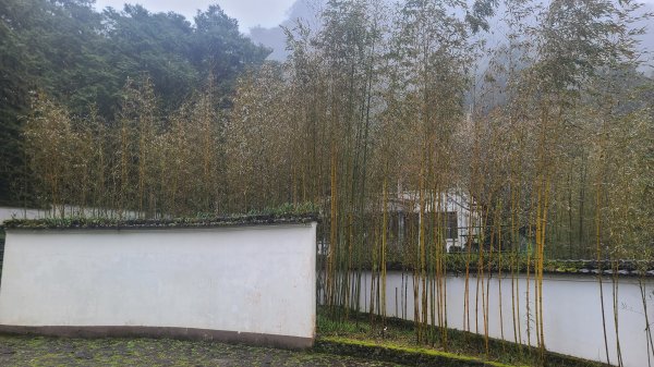 2025-0221 明池步道2718231