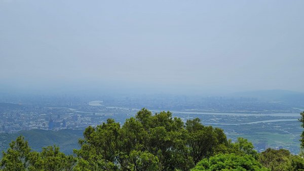 中正山環型步道2109302