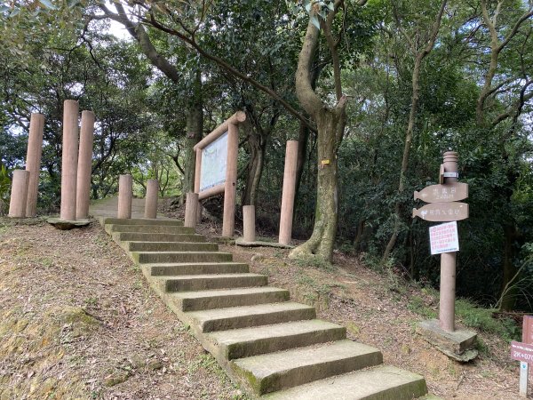 2024/01/16 鶯歌 大棟山 青龍嶺 新北市忠靈祠2429479