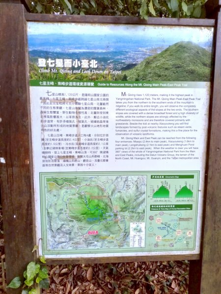 七星山主東峰苗圃線852314