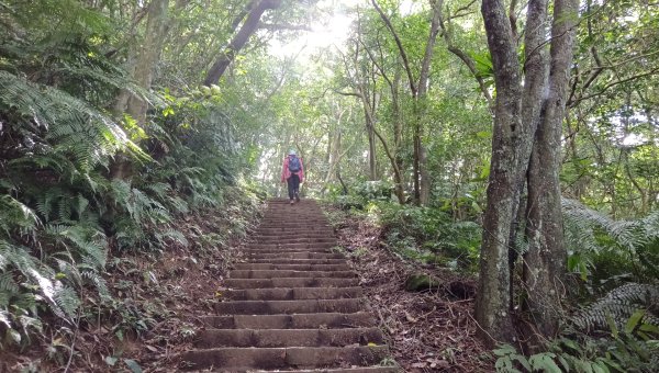 (姨婆趴趴走)第五十五集:攀登健走台北大崙頭尾山親山步道環狀一圈2853716