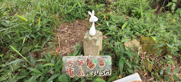 關西赤柯山+赤柯山南峰+東獅頭山+西獅頭山 O型-2026/08/113102705