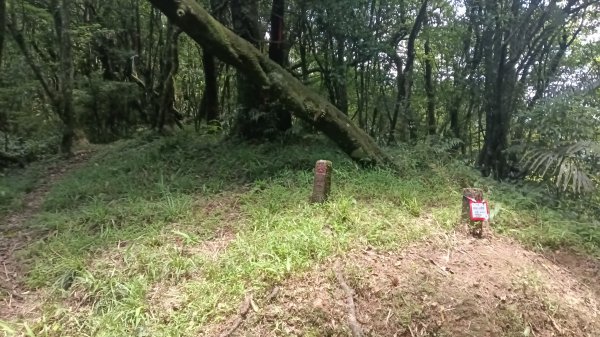 雙溪區烏山越嶺古道西段3073304