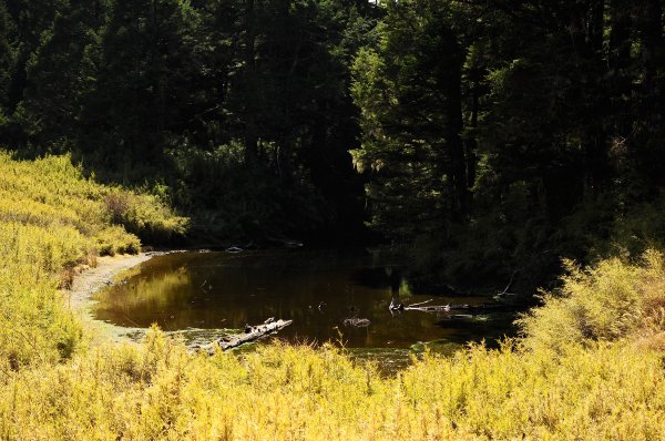 武法奈尾山天巒池872502
