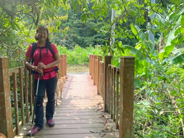 苗栗縣獅潭鄉鳴凰古道O型縱走2803655