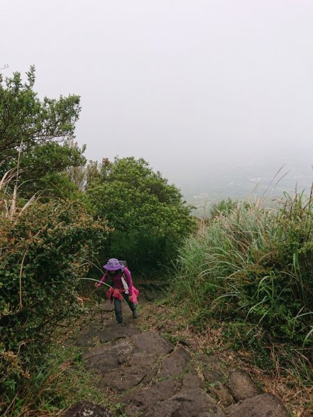 天母水管路步道、紗帽山、七星山來回走1662085