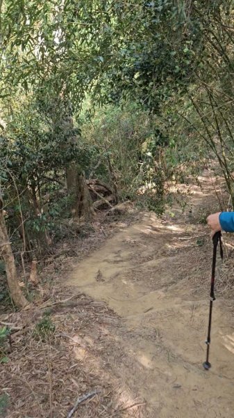 20251223芎林文林古道O走+雞寮坑山+芎林顯伯公野餐2975929