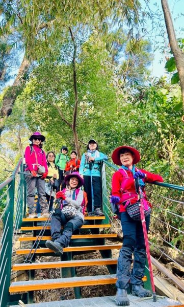 荷苞山登山步道走荷芭山小溪子山 午餐吃塔可飯幸福耶2996097