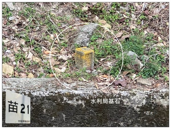 烏蛇山O型路線 (南庄)2726370