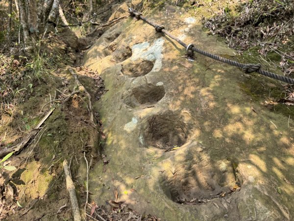 [微笑山線_第八段] 2026_0411 二格山系_炙子頭山3035074