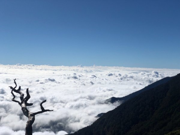 我的第一座百岳⋯北大武單攻502806