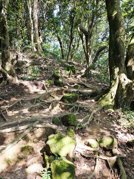 (鳶山山系)鳶山彩壁-2025微笑山線大縱走尋寶集章任務2855197