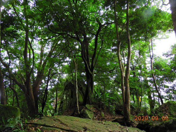 新竹 五峰 油羅山1088965