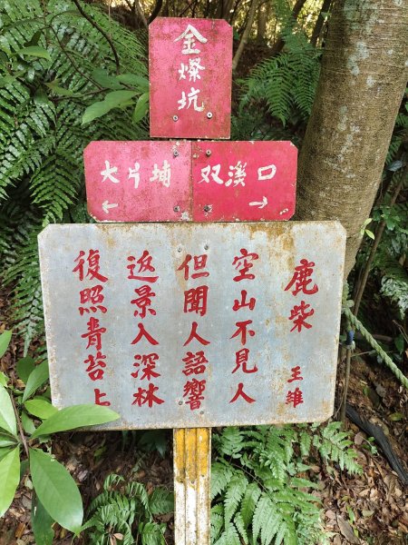 林口頂福巖森林步道2838118