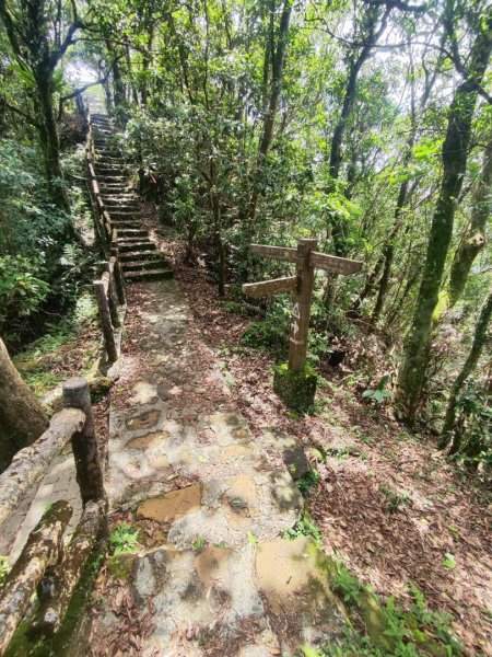 石碇鱷魚島-草湳二格山2786768