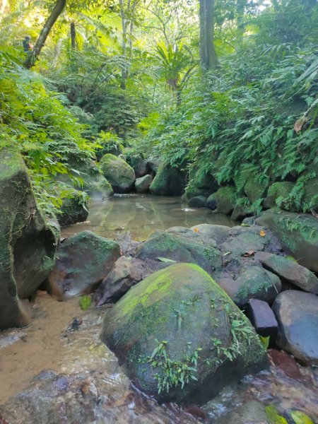 桐花公園、步道1637262