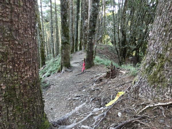 北一段(02/14)多加屯前峰2025_0906~132885107