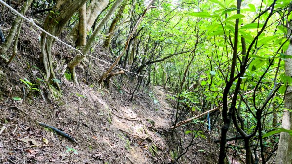 向北的龜溪縱走。評耶哀2777731