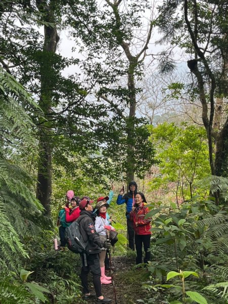 烏來大桶山.大桶山東峰.四崁水山2450701