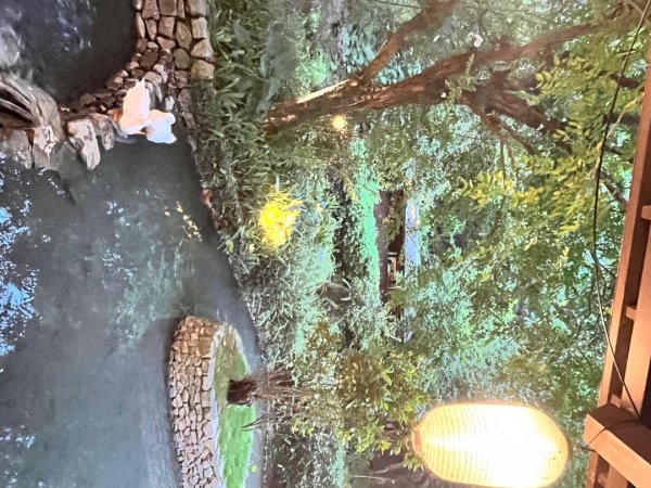 20250427_跑馬古道2855840