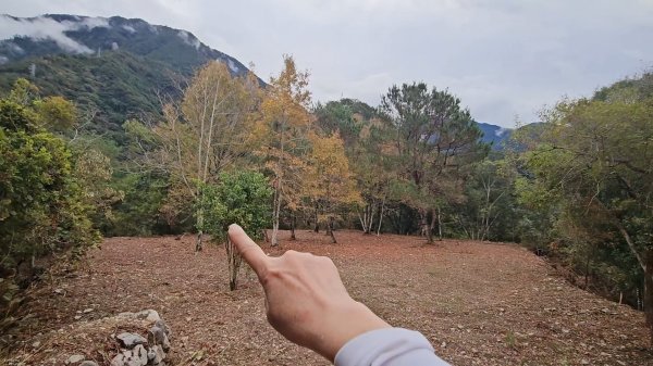 20251220上谷關山縱走四連峰2974351