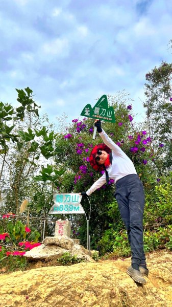 小百岳關刀山889m+銅鑼杭菊1924090