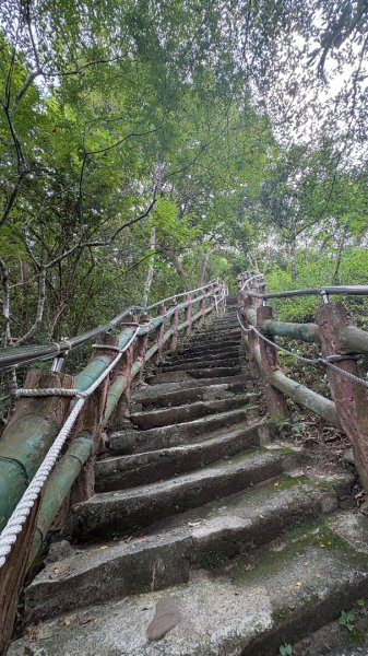 941（旗尾山2905666