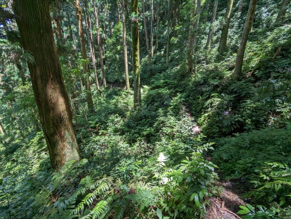 逐鹿山水路上卡保山(未經逐鹿山)2171975