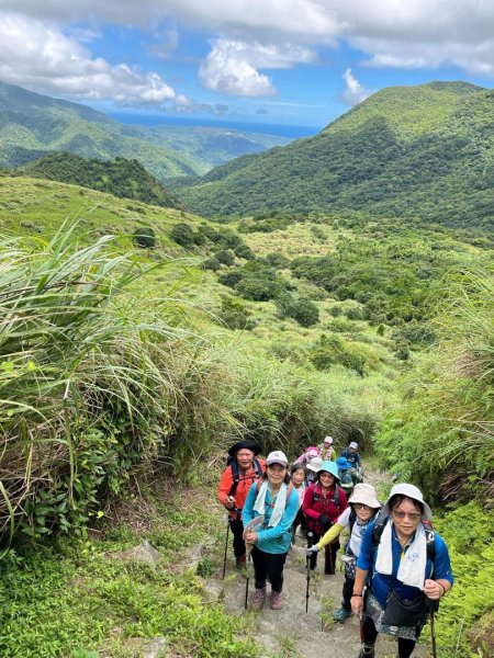 上磺溪橋走魚路古道/金包里城門/擎天崗/冷水坑2873096