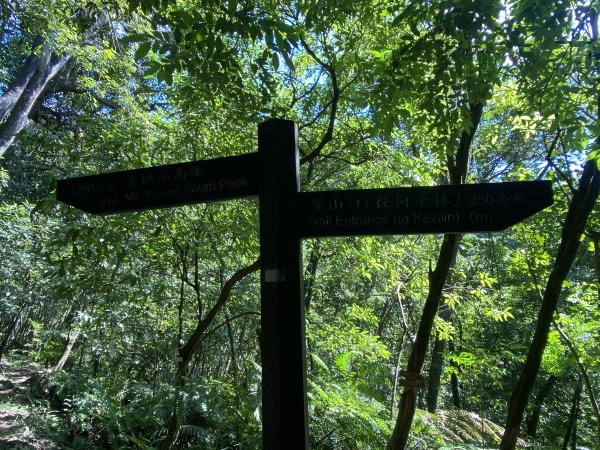 《五指山古道 × 石盤瀑布 × 友蚋山南峰 × 柯子林天然泳池｜尋訪山林古道與靜謐日式庭園》2922997