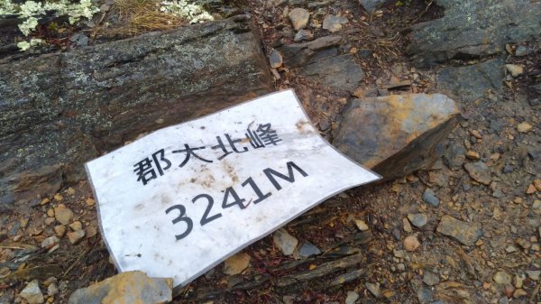 郡大山551294