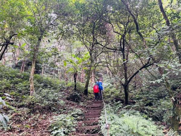 1130928五指山｜拇指峰-食指峰-中指峰2612417