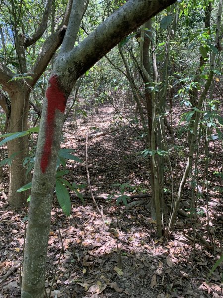 20250503屏東南和山2781487