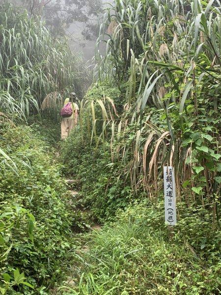 202060718南投嶺頭山3090460