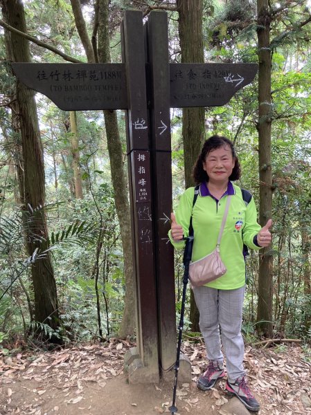 「指峰凌霄」#030 新竹五指山 H1065m, 二等三角點 #1116【小百岳集起來】2216729