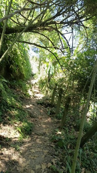 20251004 馬那邦山 - 珠湖 登山口2904894