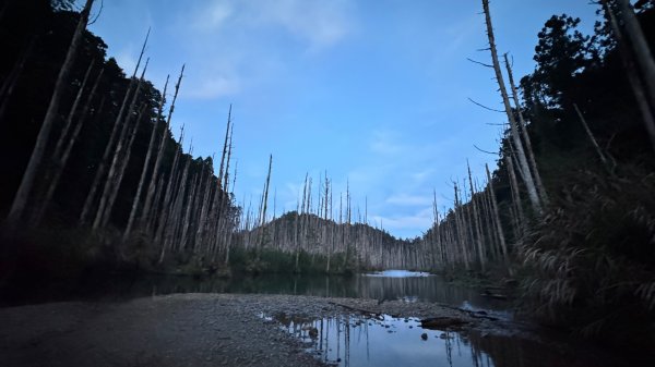 水漾森林+瞑月神木2768814